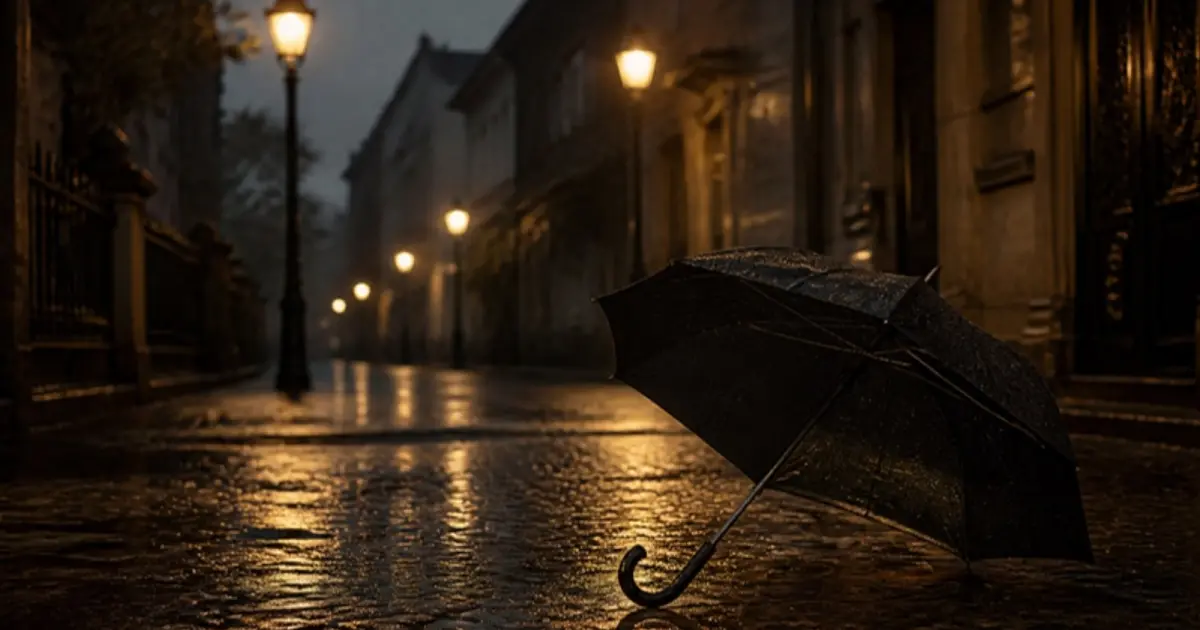 Ilustrație pentru „Cine-a pus ceva pe clanţă?”, text de Bogdan Ulmu: umbrelă pe o stradă pavată, în ploaie